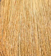 Dried Straw as a background