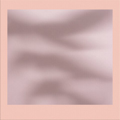 mockup with the shadow of a twig, pastel gamma