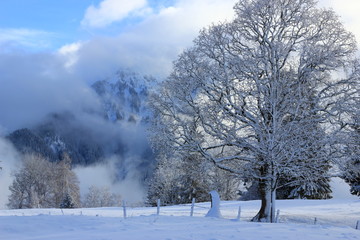 Winterlandschaft