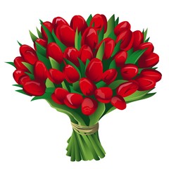 Large bouquet of tulips on a white background