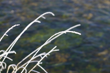 Bach im Winter mit schönen Eiskristallen