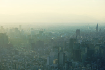 Tokyo city landscape and offices building in Tokyo, Japan.