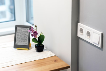 Group of white european electrical outlets and a switch located on a gray wall in a light modern...