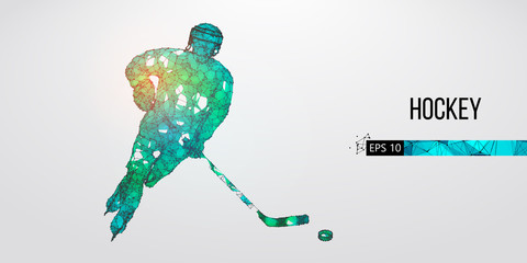 Abstract silhouette of a hockey player from particles. Dots, lines, triangles text color effects and background on a separate layers. Low poly neon wire outline geometric polygonal vector illustration