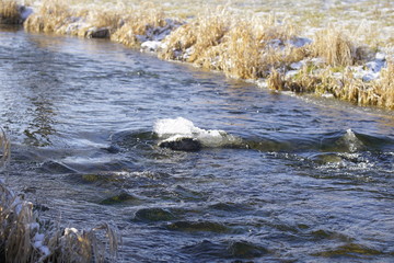 Bach im Winter mit schönen Eiskristallen