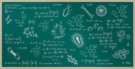 Various viruses and bacteria On the blackboard.