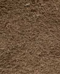 inner skin texture in fibers