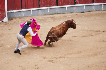 Shot of the brave bullfighter in Lisbon Portugal