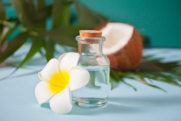 Coconut oil in a bottle with coconuts, flower Plumeria frangipani and green palm tree leaf. Healthy Food, skin care concept.