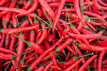 Mix Red Chilli organic farm on  tray, thailand market.