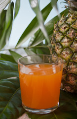 Glass of tropical exotic multifruit juice on a palm leaves with pineapple nearby.
