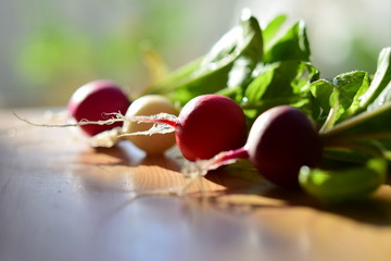 ラディッシュ,カブ, 赤カブ,radish
