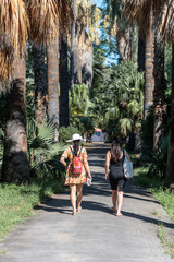 Tourists women walking on alley visiting tha famous Botanical Gardens in Palermo among big palm...