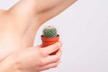 Female holding green cactus near her armpit, copy space.