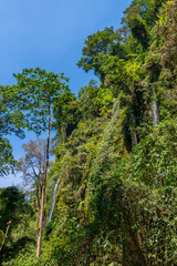 Tiu Kelep Wasserfall im Norden von Lombok, Indonesien