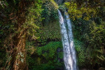 Tiu Kelep Wasserfall im Norden von Lombok, Indonesien
