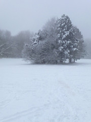 Eine tief verschneite, nebelige Winterlandschaft.