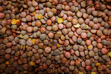 Healthy Brown Raw Lentils Pile Detail