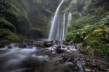 Waterfall/stream in a deep rain forest.