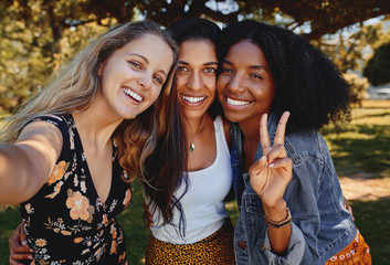 Portrait of three smiling happy multiethnic female friends taking a selfie in the park on a sunny...