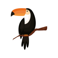 toucan animal exotic isolated icon © Gstudio
