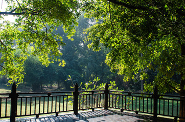 Fototapeta premium bridge in the park