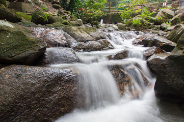 Waterfall/stream in a deep rain forest.