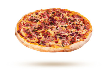 Pizza on a white background