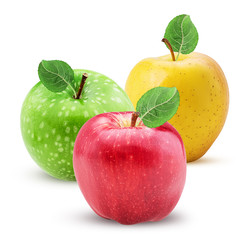 Apples red yellow green with leaf