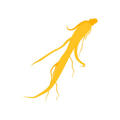 Ginseng root on white background.