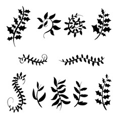 Collection of Black Floral Decorative Borders and Frames For Logos and Design