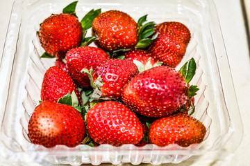 Indian sweet red strawberry packing container in garden looking awesome 