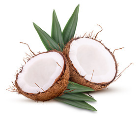 Two coconuts cut in half with leaf
