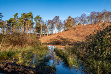 Forestry and Nature Reserve