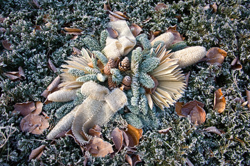 Wintry arrangement  of spruce branches and cones