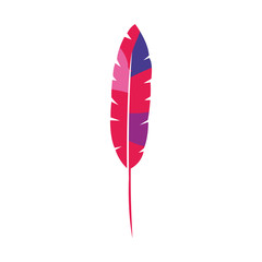 exotic feather bird isolated icon