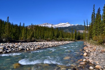 Beautiful blue Siffleur River with high mountains covered with snow in the background. Sunny day, blue sky, Kootenay plains Ecological Reserve. Canada.