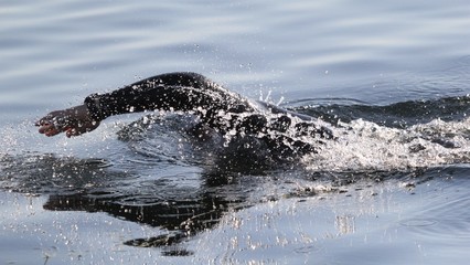Fototapeta premium triathlete swimming event