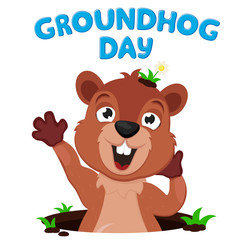 The Groundhog crawls out of its burrow and stretches on a white. Groundhog day