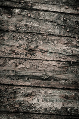 Fototapeta premium texture of wood