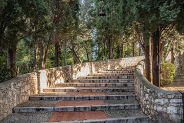 parc de Cimiez à nice
