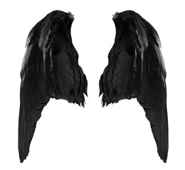 two big black raven wings with big feathers isolated on white background