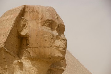 Obraz na płótnie Canvas Sphinx