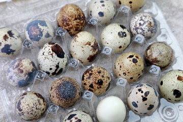 many fresh quail eggs for cooking