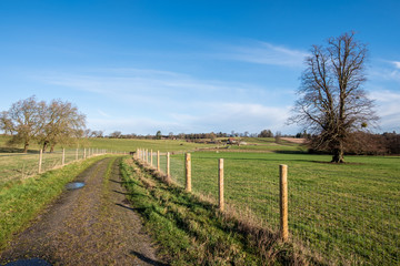 Burton Mill Walk, Southdown National Park