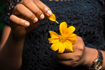 black girl holding a tree marigold sunflower pick the petals off one by one. she loves me, she...