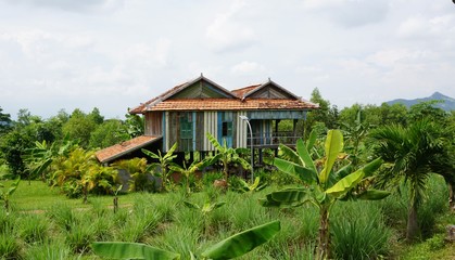 Traditional wooden Khmer house on a cambodian farm, banana trees in front of the house