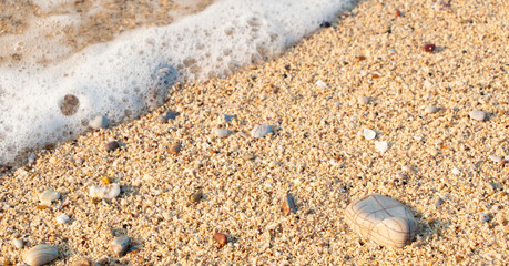Soft wave of blue ocean on sandy beach. Background.