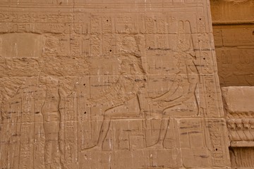 Hieroglyphic writing on temple walls