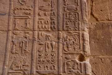 Fototapeta na wymiar Hieroglyphics at egyptian temple